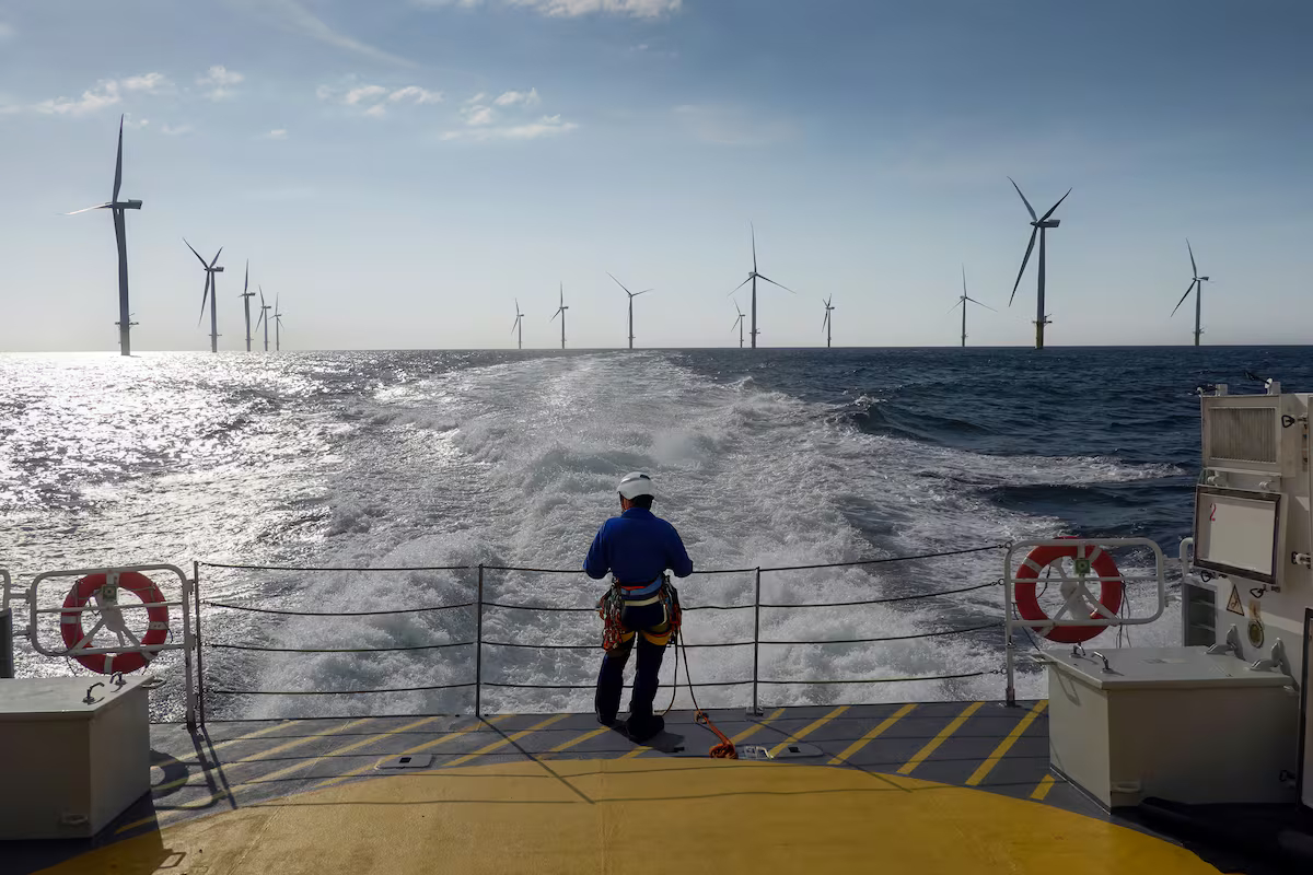 “La mayor central de energía limpia del mundo”: Europa prepara un colosal proyecto eólico en el mar del Norte