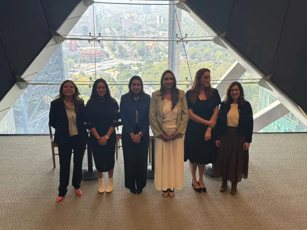 Lanzamiento Comité Expertas de la AMDEE