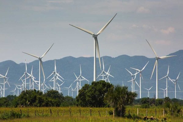Comunidades indígenas quedan excluidas en la transición energética; no fueron consultadas en 25 proyectos eólicos en Oaxaca