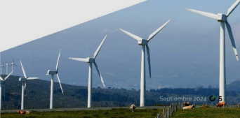 Sector eólico suma 400 MW con AMLO 8% de Lo esperado