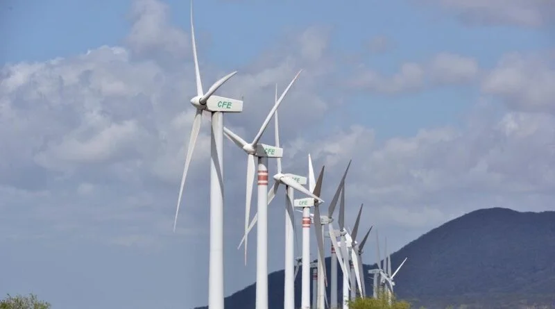 La fuerza del viento en la economía