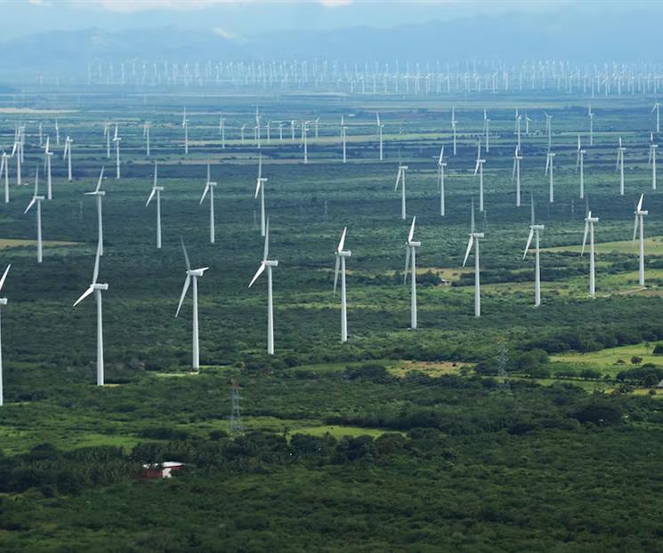 Un año para consolidar energía eólica